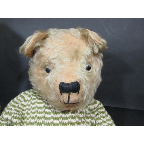 36 - 2 mid 20th century teddy bears including a large bear probably by Chiltern with jointed body, glass ... 