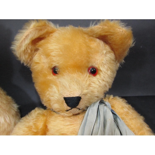 38 - 2 large teddy bears, both with jointed body, golden fur, glass eyes and stitched nose and mouth. Lar... 