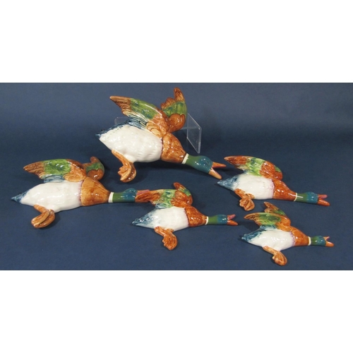 1037 - A set of five graduated Beswick wall plaques in the form of mallards in flight, ranging from the sma... 