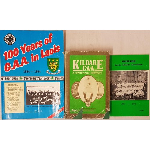 14 - Kildare & Laois G.A.A. - Kildare Gaelic Athletic Association 1887-1975; Kildare G.A.A. A Centena... 