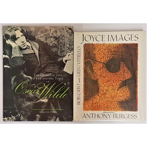 23 - Joyce Images by Bob Cato and Edited by Greg Vitiello with intro by Anthony Burgess (un-opened in ori... 
