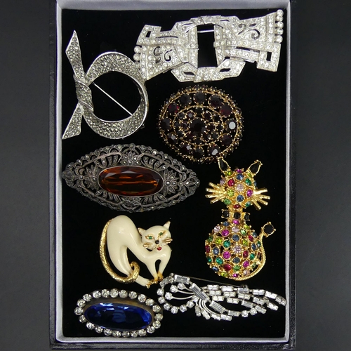 36 - Silver marcasite brooch, various stone set brooches including an enamel cat brooch. UK Postage £12.