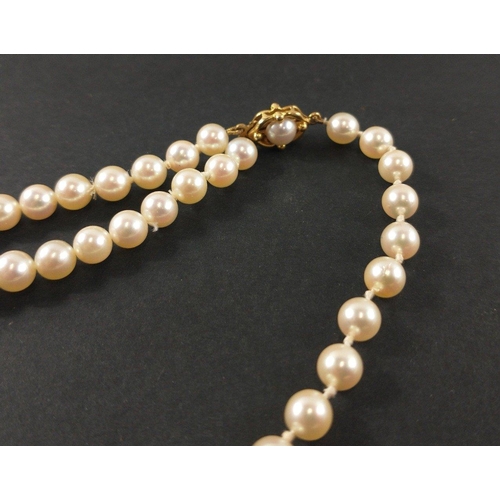 24A - Three STRINGS OF QUALITY PEARLS to include -  A 9ct yellow gold stamped catch on a double string nec... 