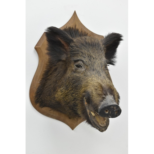 Chorley Auction House