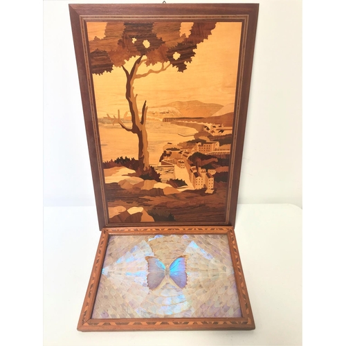 237 - JAPANESE LACQUERED WALL MIRROR
with gilt crane decoration, 37cm high; together with a butterfly wing... 