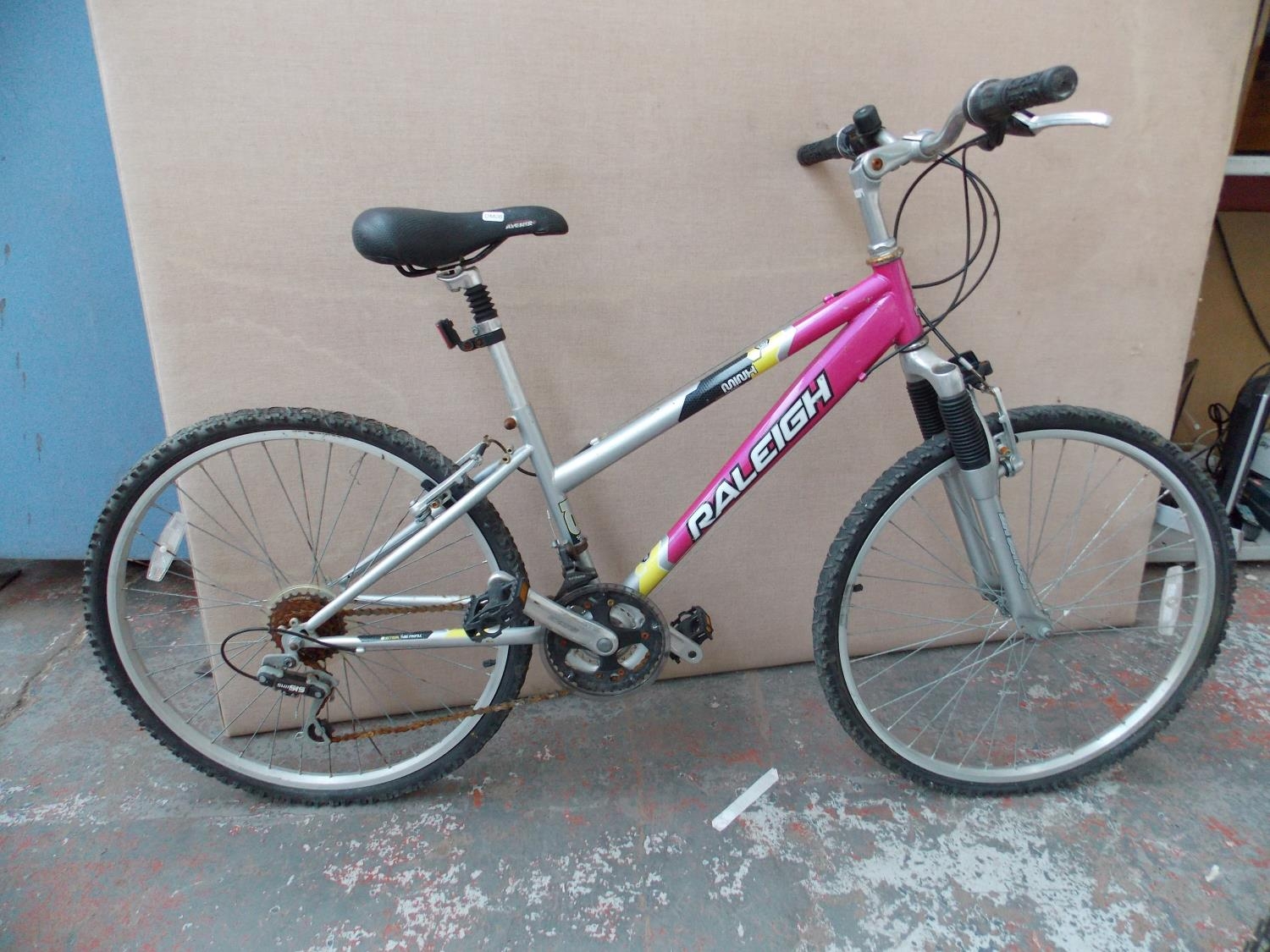 raleigh pink bike