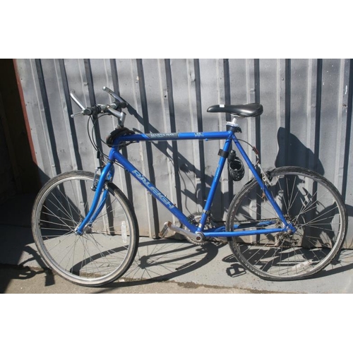 raleigh manta ray bike