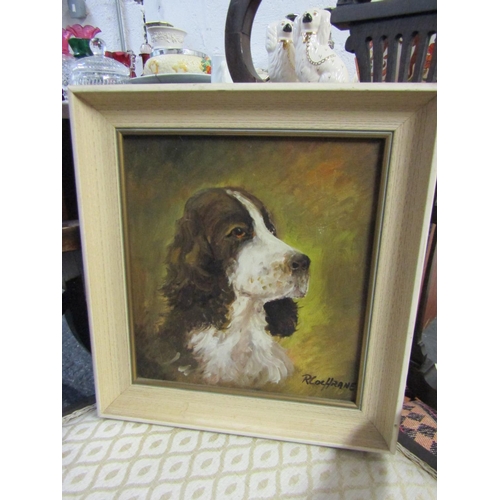 Robert Cochrane Portrait of Springer Spaniel Oil on Board Approximately12 Inches High x 10 Inches Wide Signed Lower Right