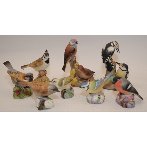 32 - Quantity of collectible Royal Worcester bird figures (8)