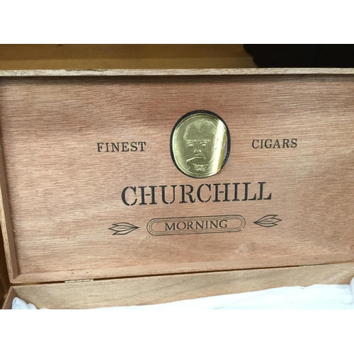 335 - THIRTEEN TITAN PHILLIES CIGARS IN A BOX AND TWO COHIBA IN A CHURCHILL BOX