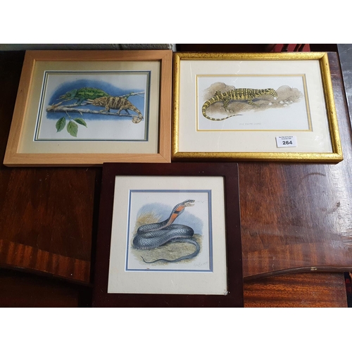 40 - Three really good Watercolours of Reptiles by Peter Barrett.