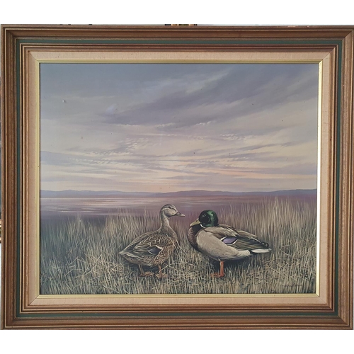 An Oil on Canvas of Mallard Ducks by Richard Ward. Signed LR. 50 x 60cm approx.