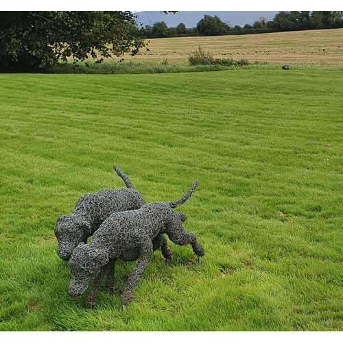 774 - The Tullamaine Hounds by Rupert Till. 
A Fantastic five piece Sculpture of four hounds running acros... 