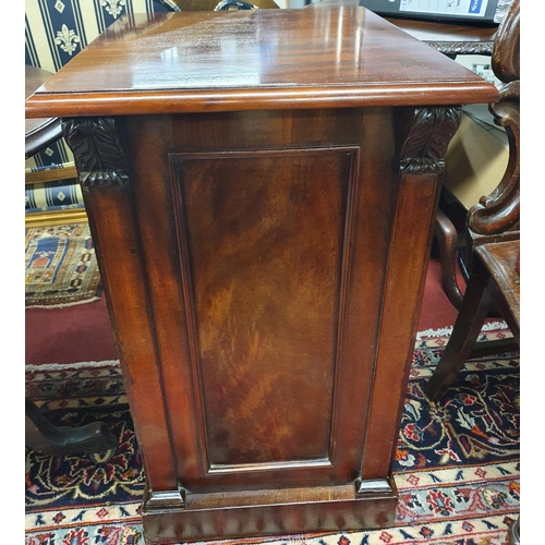 5 - A really good pair of 19th Century Bedside Cabinets with single door front and raised and fielded pa... 