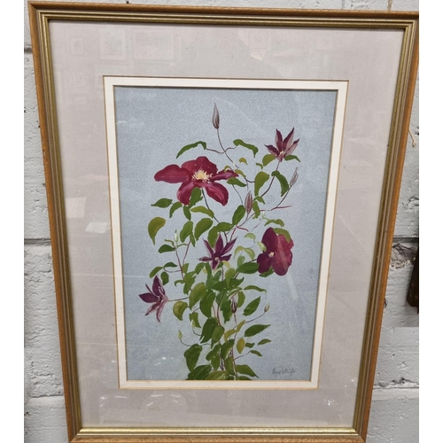 129 - Margaret Worthington (British 20th century) a botanical study, Red Clematis, Signed in pencil.