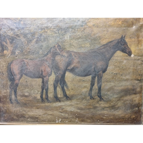56 - A large Oil On Canvas of two horses indistinctly signed LR. H 51 x 69 cm approx.