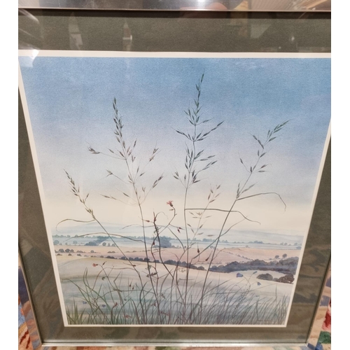 703 - A coloured Print of Grasses.