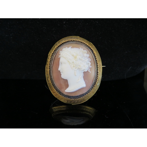 5005 - A large carved shell cameo brooch of Romanesque female, greek key border to frame, rope twist outer ... 
