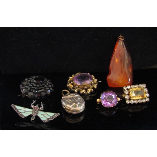 5008 - Victorian brooches including amethyst examples, jet, insect brooch, locket and amber pendant