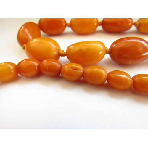 5048 - Two amber bead necklaces, 60cm and 66cm long, 63.6g total