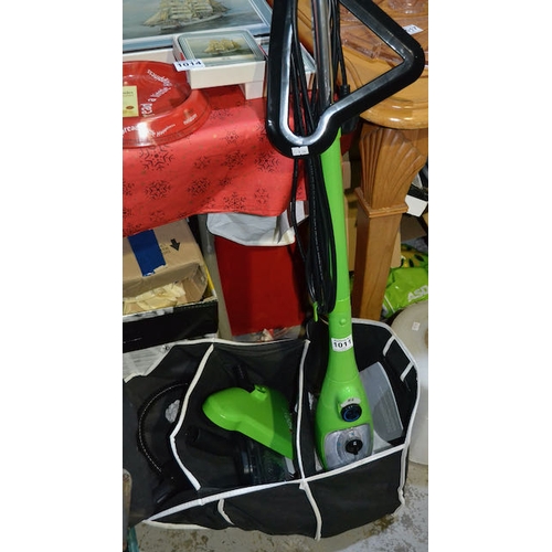 Green Steam Cleaner