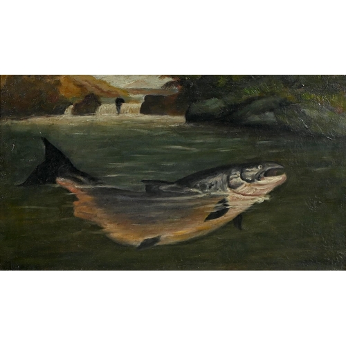 1483 - Follower of John Russell - Salmon; Trout, a pair, oil on canvas, 20.5 x 35.5cm
