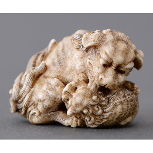 1076 - A Japanese ivory netsuke of a shi-shi lion and young, Meiji period, 40mm l, signed Tomokoto... 