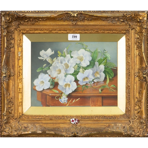 662 - Eva Francis (1887-1924) - Thunbergia, signed and dated 1904, signed and dated again and inscribed wi... 