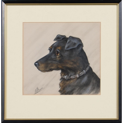 997 - L W Fraser (20th c) - Portraits of Dogs, a set of three, all signed, pastel, 23 x 25.5cm (3)... 