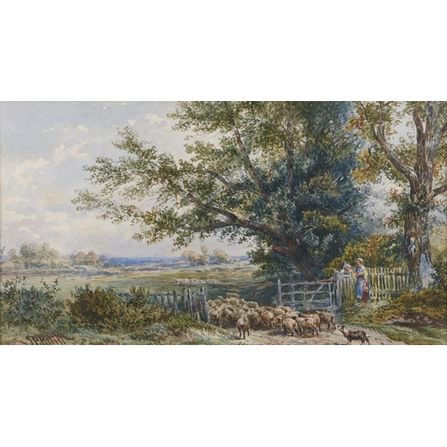 1009 - Joseph Paul Pettitt (1812-1882) - Driving Sheep, signed, watercolour, 24.5 x 34.5cm