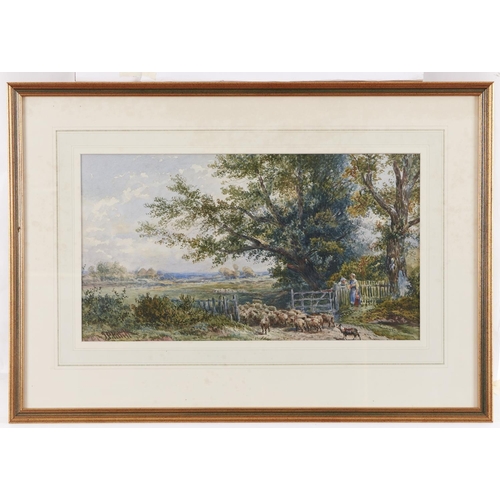 1009 - Joseph Paul Pettitt (1812-1882) - Driving Sheep, signed, watercolour, 24.5 x 34.5cm