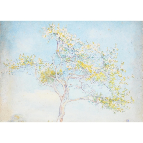 1042 - British School, early 20th c - Apple Blossom, signed with initials EKB, watercolour, 27.5 x 38.5cm... 