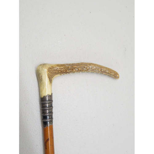 211 - HM silver and staghorn riding crop