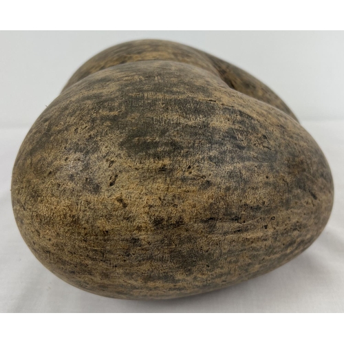 1283 - A Coco De Mer pod, (LODOICEA) in natural condition. Approx. 13 x 24 x 22cm. From a private estate.