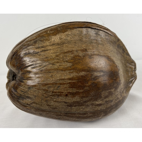 1284 - A large vintage coconut pod/husk with coconut inside. Approx. 17 x 25cm.