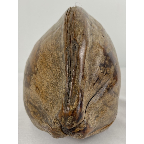 1284 - A large vintage coconut pod/husk with coconut inside. Approx. 17 x 25cm.