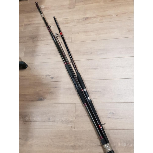 11ft pike rod