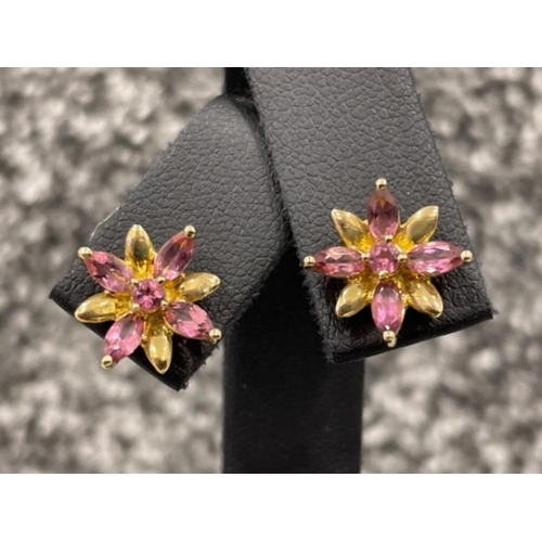 Ladies 9ct gold Pink stone stud earrings