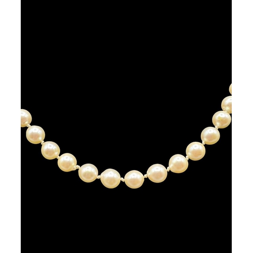 5 - Antique Pearl Necklace with beautifully deally 18ct Gold and Sapphire Clasp 48cm in length