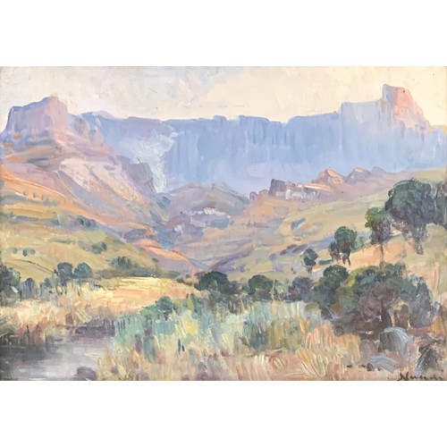Pieter Hugo Naude (South African 1869-1941), oil on board, canyon landscape, signed lower right, 28x39cm