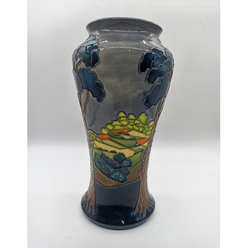2 - A Walter Moorcroft After The Storm Pattern Baluster Small 26 cm tall vase, blue painted signature an... 