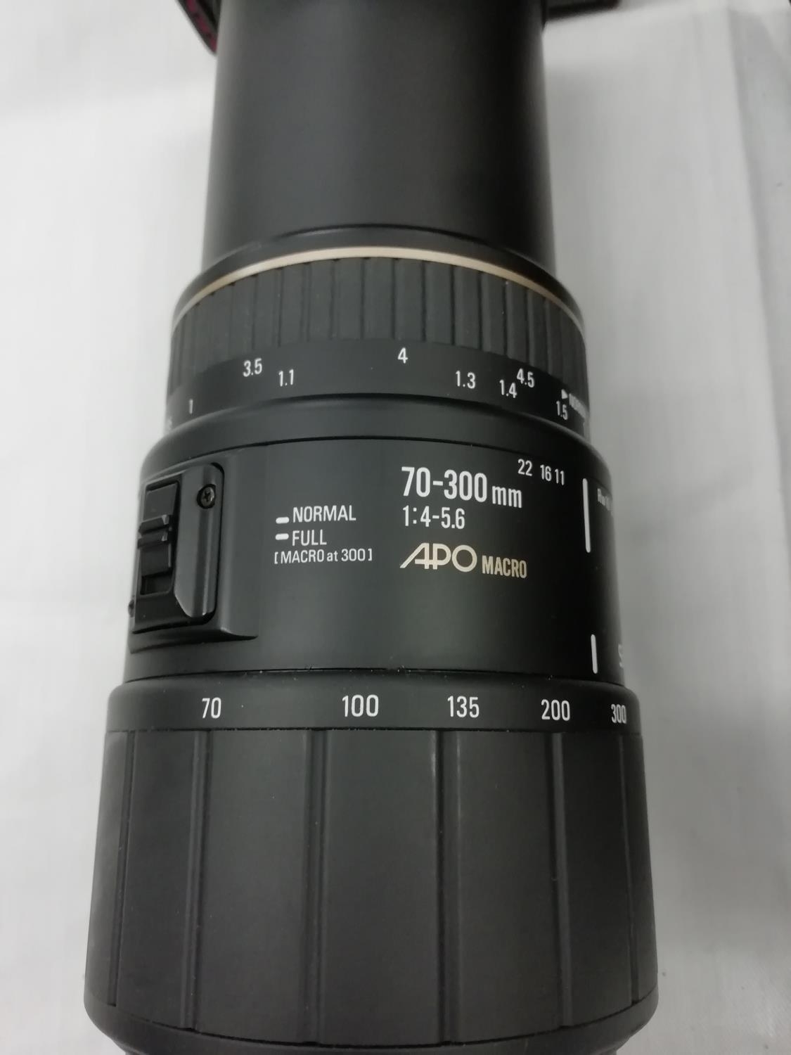Collection of Sigma Lenses (4)