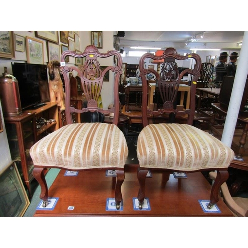 649 - 19th CENTURY SALON CHAIRS, pair of mahogany framed chairs with pierced back, upholstered seats, on c... 