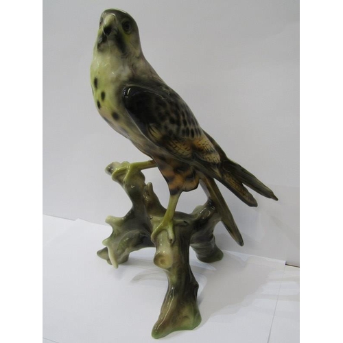 4 - BIRD FIGURE, Continental ceramic figure of Falcon, (indistinct base mark), 11.5