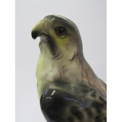 4 - BIRD FIGURE, Continental ceramic figure of Falcon, (indistinct base mark), 11.5