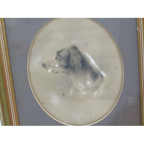 71 - VICTORIAN DOG PORTRAITS, pair of signed heightened drawings by J Heywood, 1870