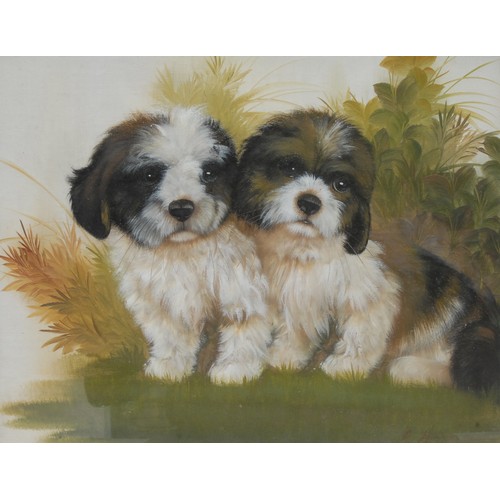 354 - B** Harris (20th century)  Cute Puppies  signed, oil on board, 38cm x 48cm