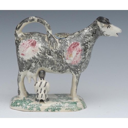 14 - A 19th century Staffordshire cow creamer, standing four square, painted black, puce patch markings, ... 