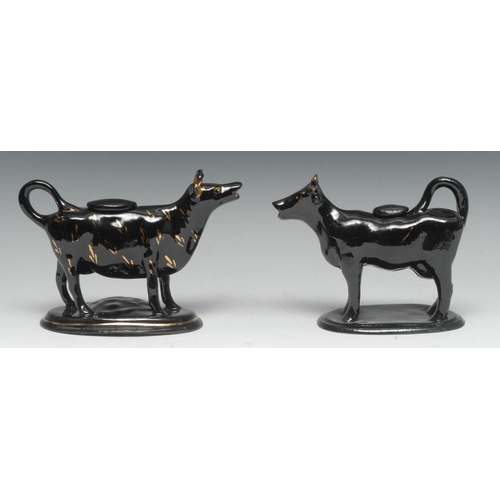 21 - A Jackfield type cow creamer and cover, in black, picked out in gilt, oval base, 13cm high, c.1895; ... 