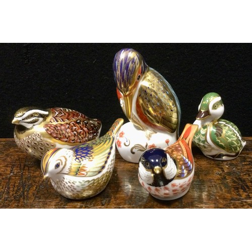 34 - A Royal Crown Derby Paperweight Dappled Quail, others;  Kingfisher;  Derbyshire Duckling;  Firecrest... 
